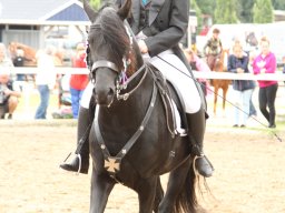 IMG_5115_web